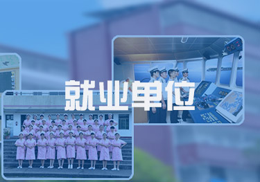 毕业以后都在什么单位上班？